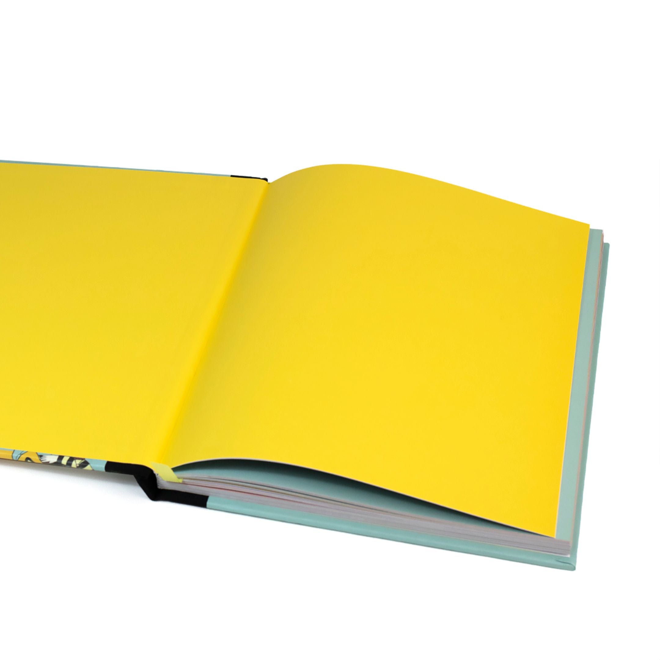 Little People, Big Dreams: Journal