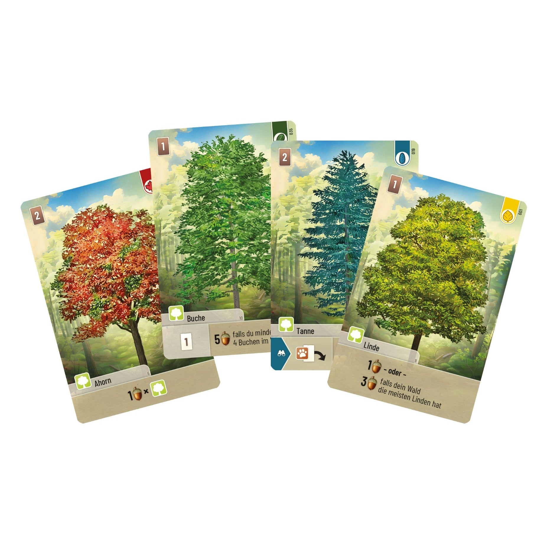 Gesellschaftsspiel Asmodee Mischwald