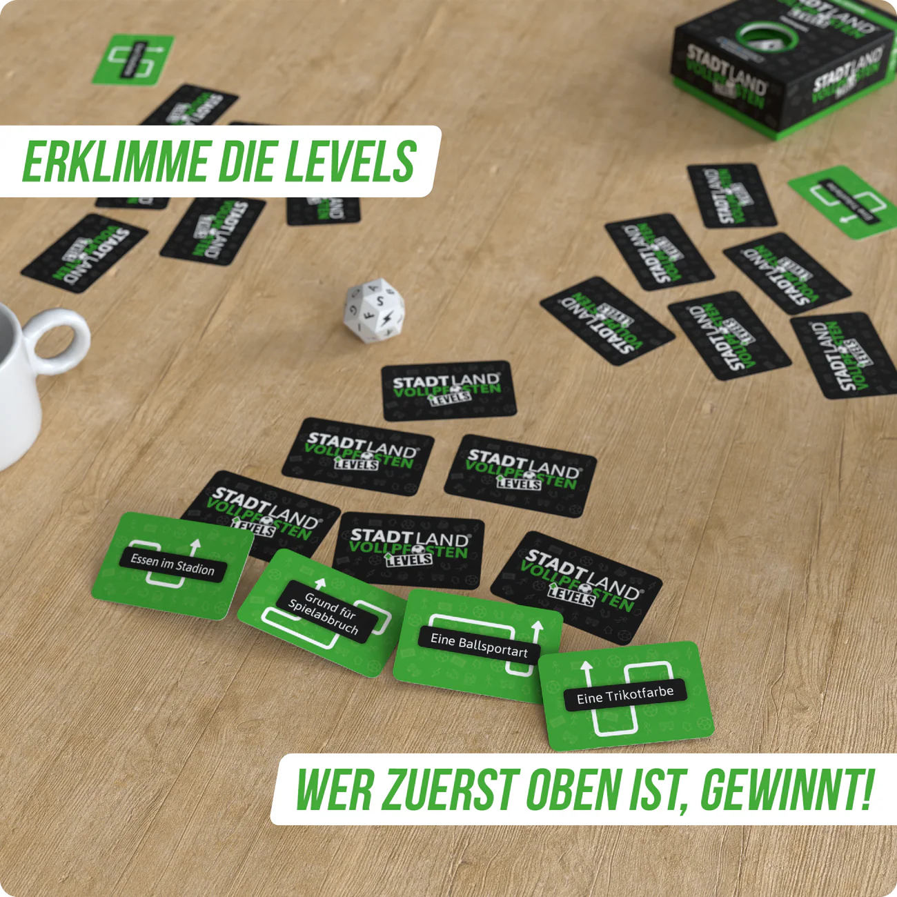 Wissensspiel Denkriesen STADT LAND VOLLPFOSTEN® - Levels - Fußball Edition - "Heimspiel"