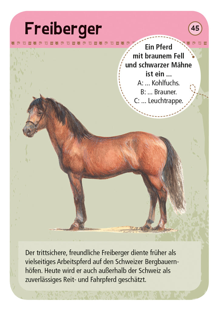 Expedition Natur 50 Pferde & Ponys