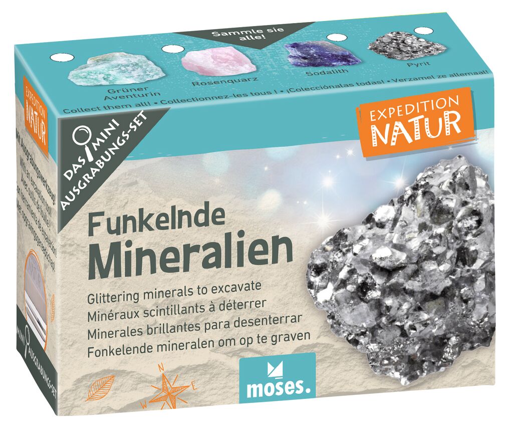 Expedition Natur Mini-Ausgrabungsset