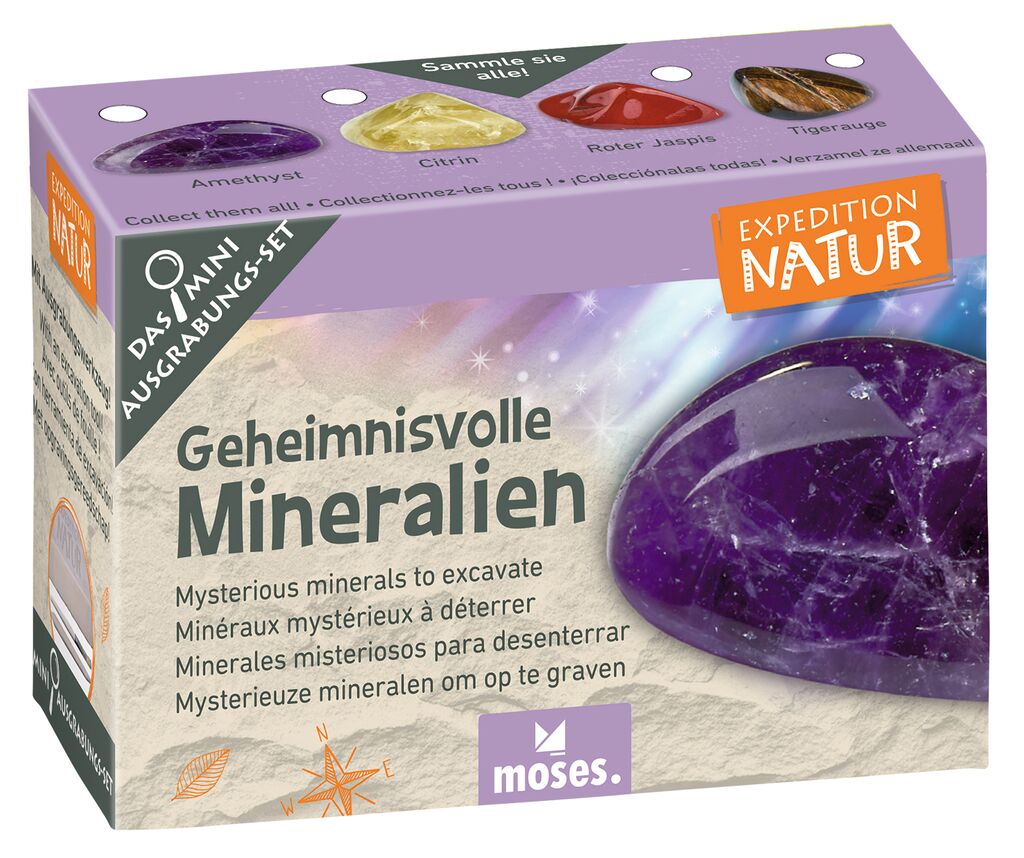 Expedition Natur Mini-Ausgrabungsset