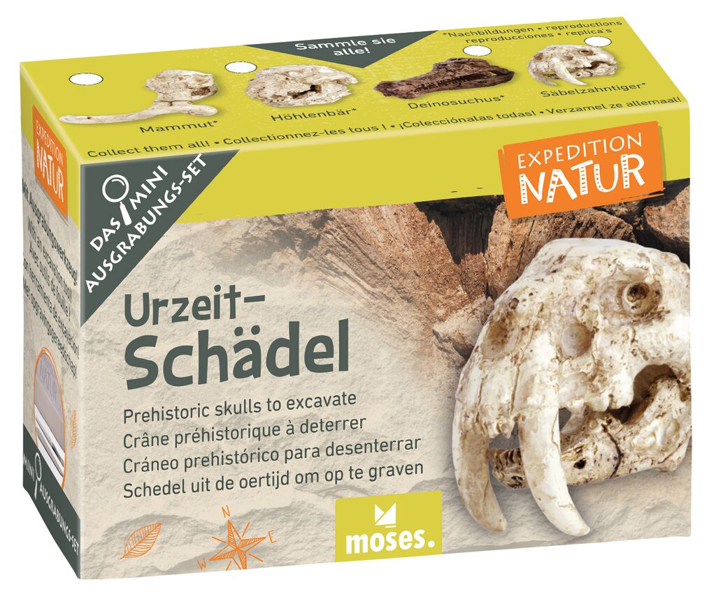 Expedition Natur Mini-Ausgrabungsset