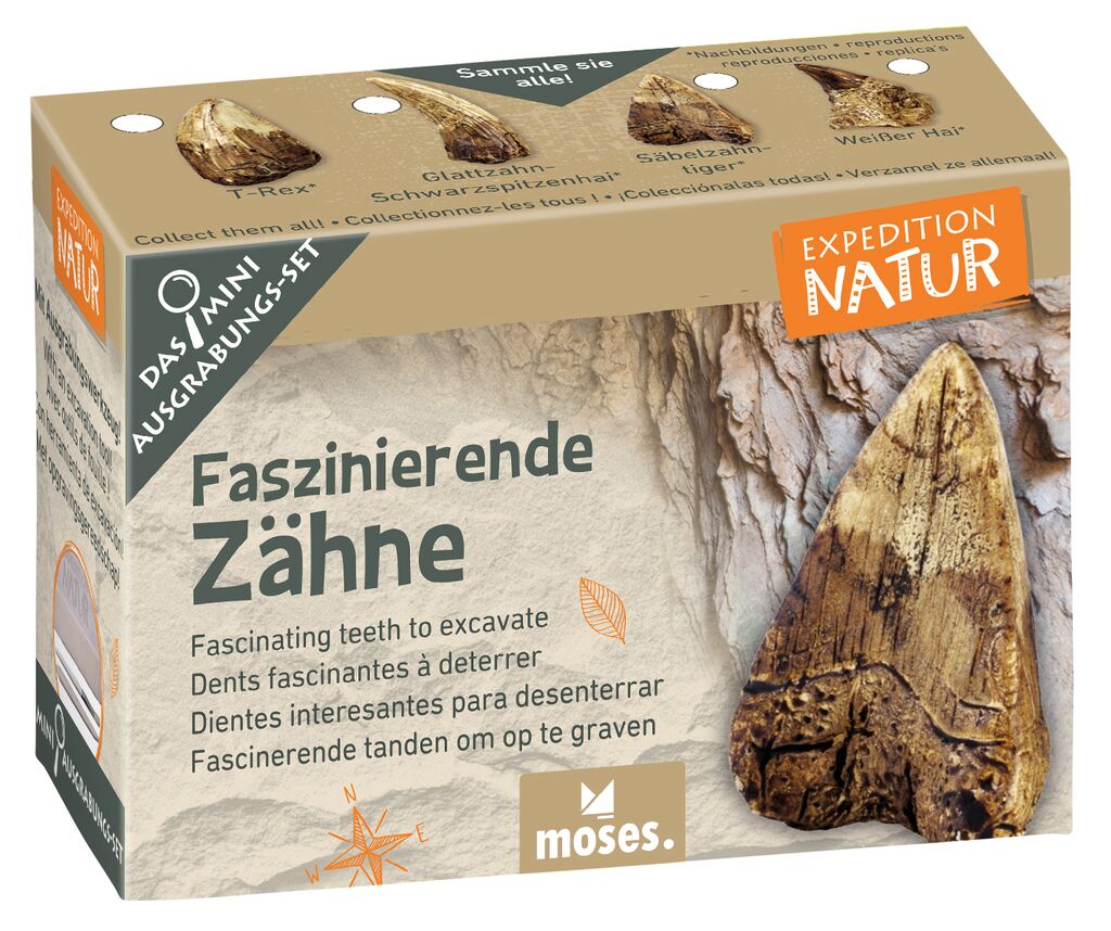 Expedition Natur Mini-Ausgrabungsset