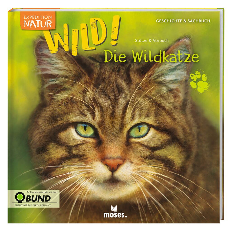 WILD - Die Wildkatze
