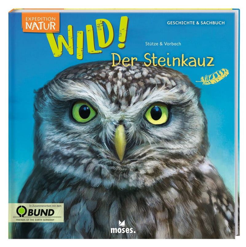WILD! - Der Steinkauz