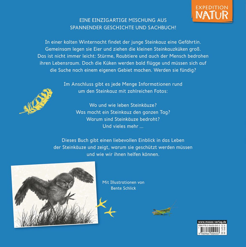 WILD! - Der Steinkauz