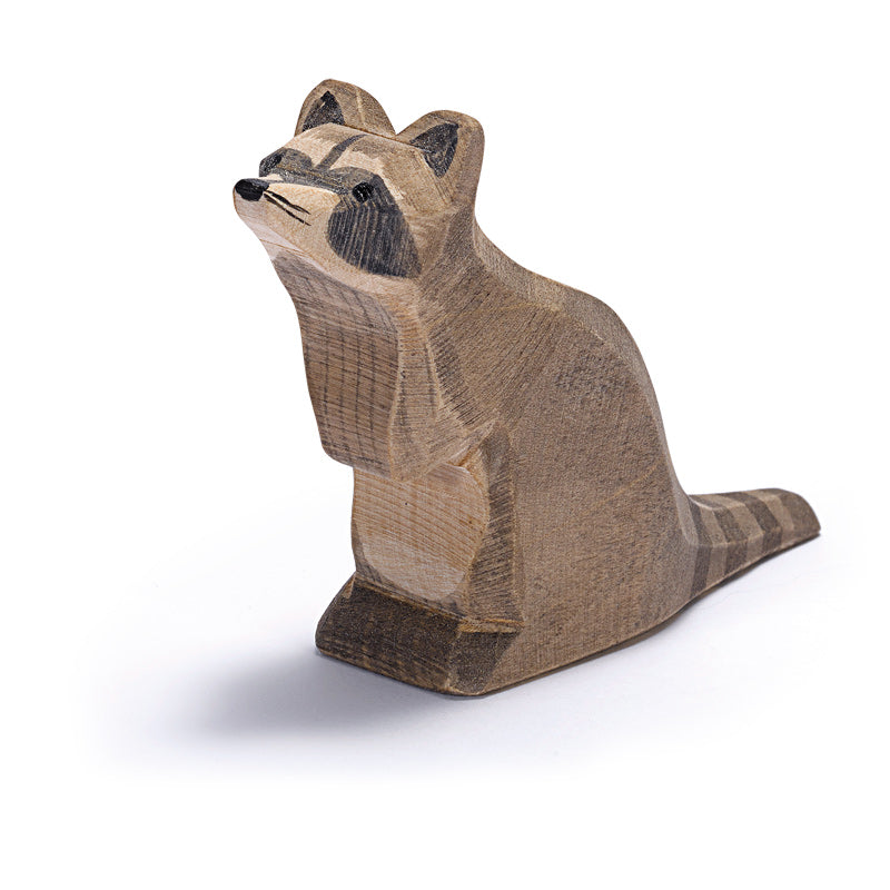 Waschbär sitzend
