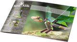 Terra Kids Connectors - Starter-Konstruktions-Set
