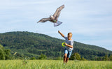 Terra Kids Flugdrache