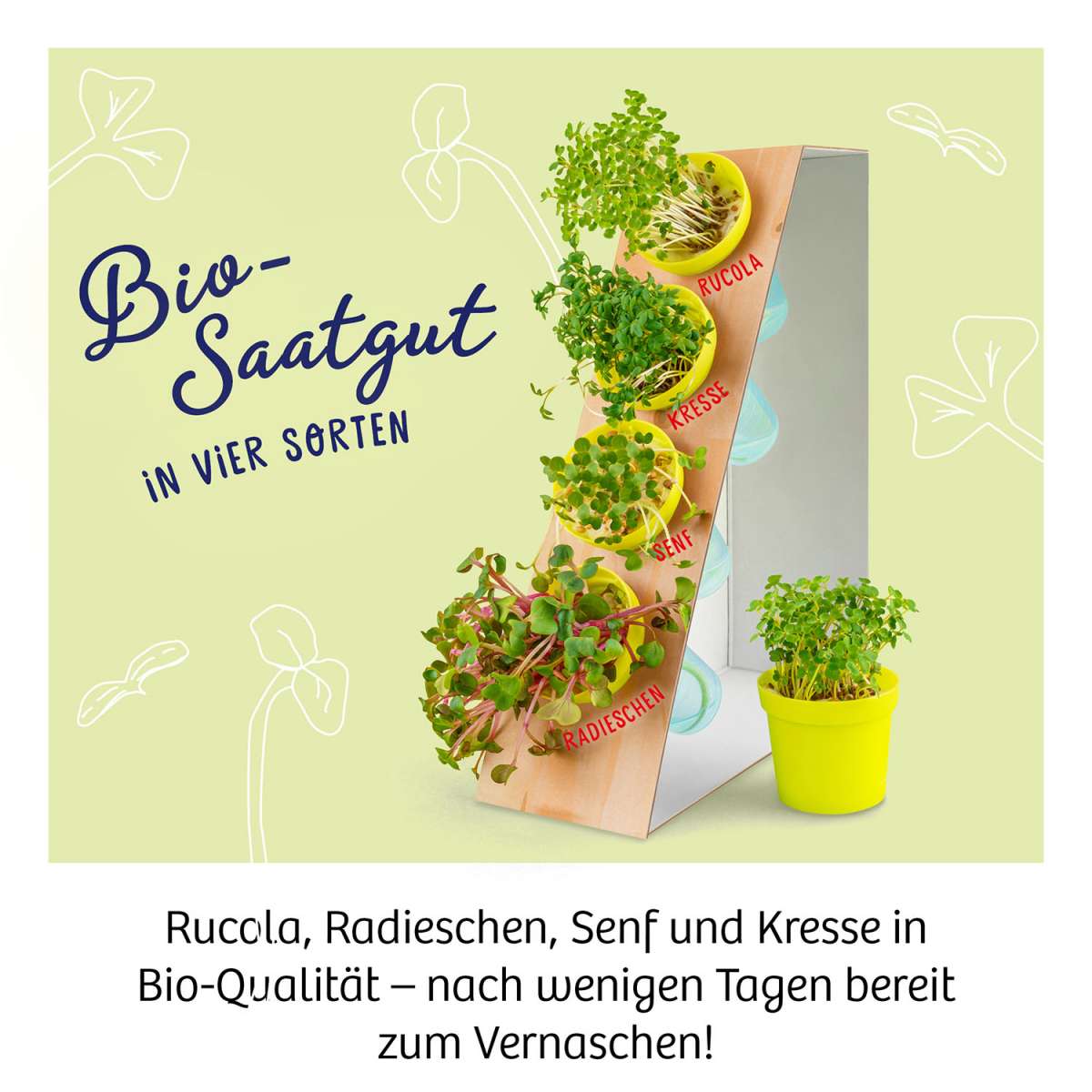 Microgreen-Garten