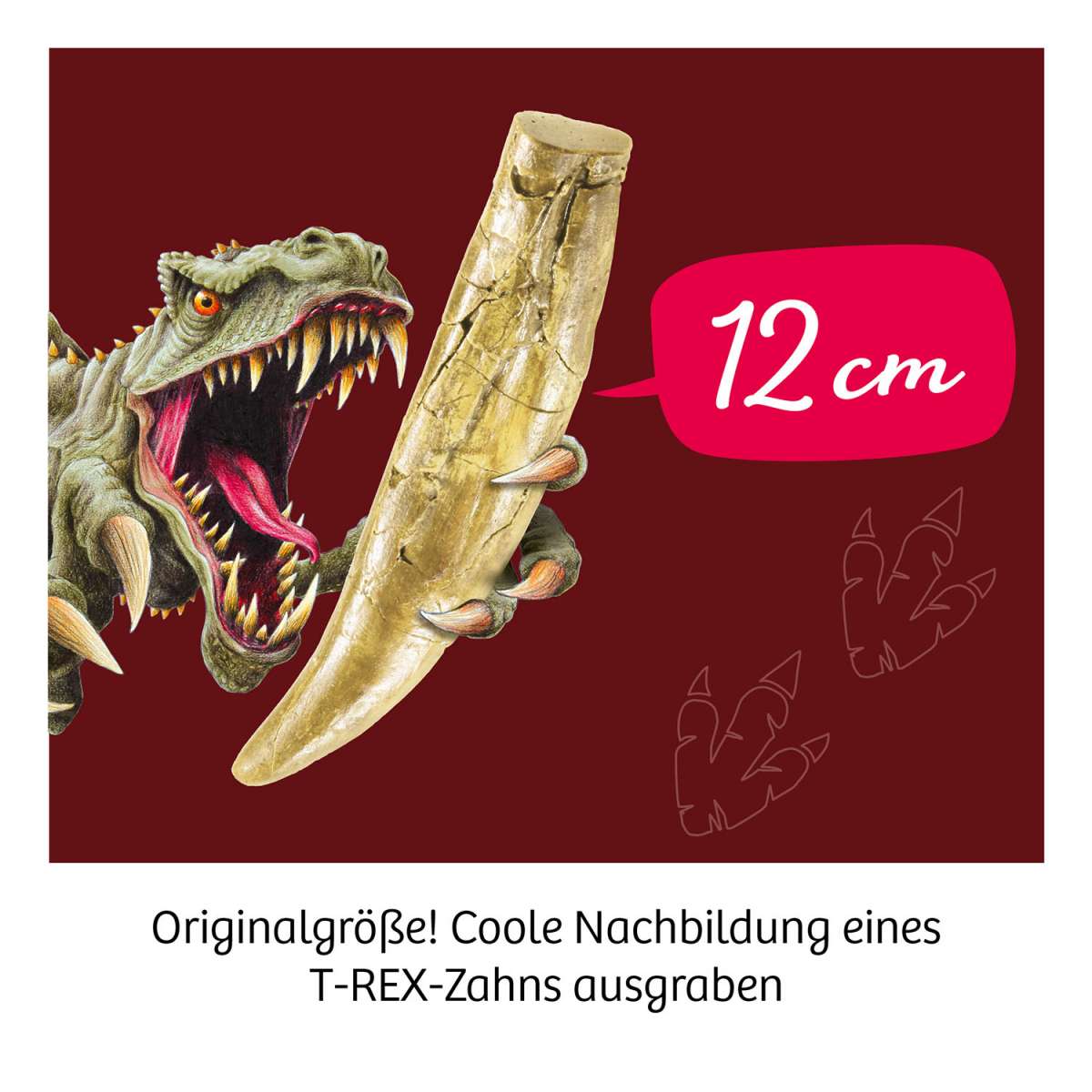 T-rex - Zahn