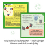 Fußball-Flummis