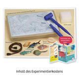 Meeres-Abenteuer - WELTENTDECKER