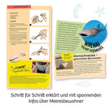 Meeres-Abenteuer - WELTENTDECKER