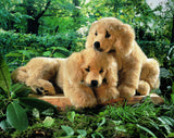 Golden Retriever Welpe  liegend