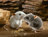 Maus "Pops"  grau  10 cm