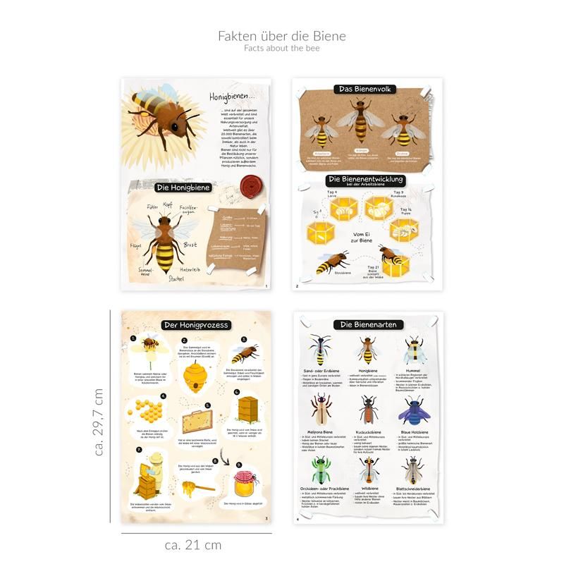 Meine Bienenfreunde - Activtiy-Heft Lern-, Kratz- & Ausmalspaß-Set