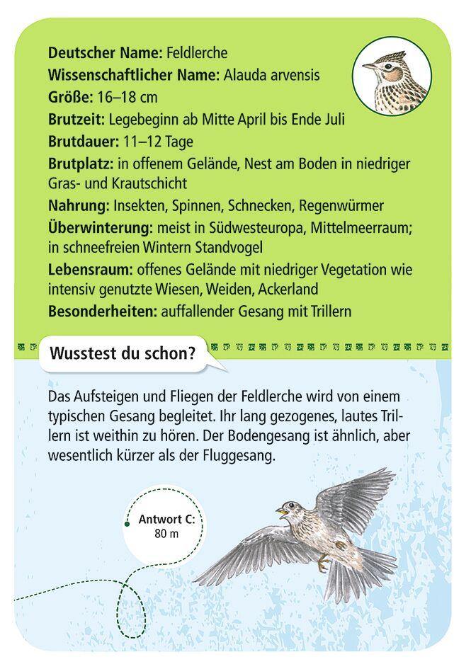 Expedition Natur 50 heimische Vögel - WELTENTDECKER