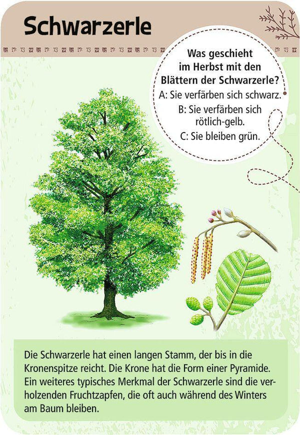 Expedition Natur 50 heimische Bäume - WELTENTDECKER