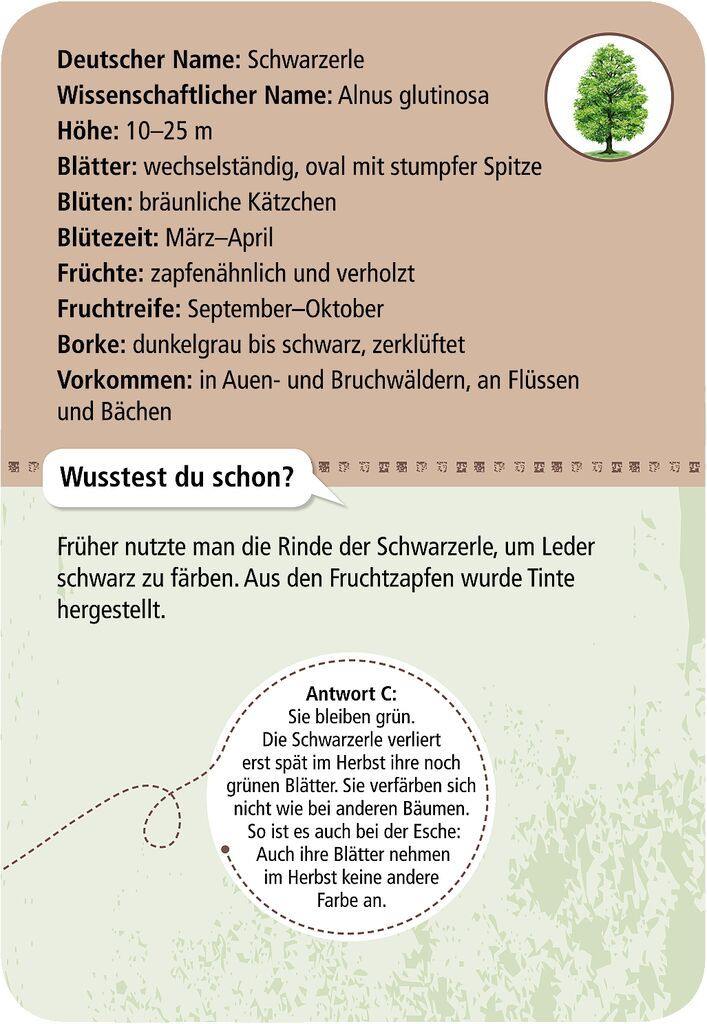 Expedition Natur 50 heimische Bäume - WELTENTDECKER