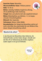 Expedition Natur 50 heimische Blumen