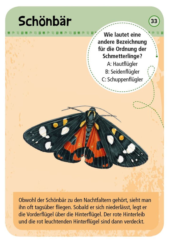Expedition Natur 50 heimische Schmetterlinge