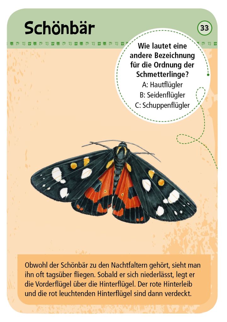 Expedition Natur 50 heimische Schmetterlinge
