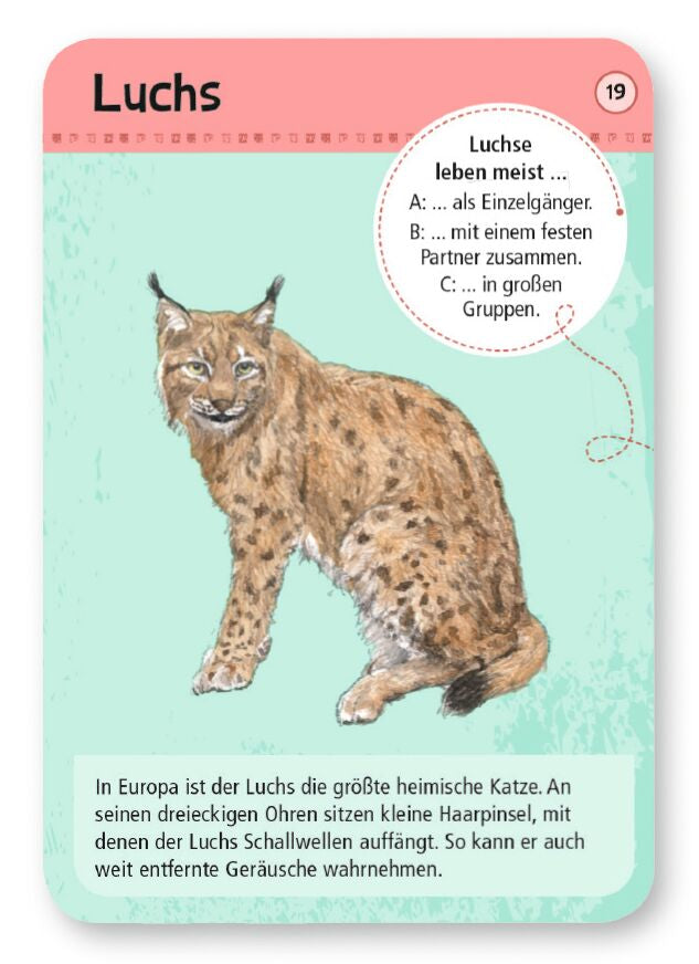 Expedition Natur 50 heimische Wald- & Wildtiere