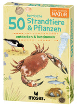 Expedition Natur 50 heimische Strandtiere & Pflanzen
