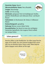 Expedition Natur 50 heimische Strandtiere & Pflanzen