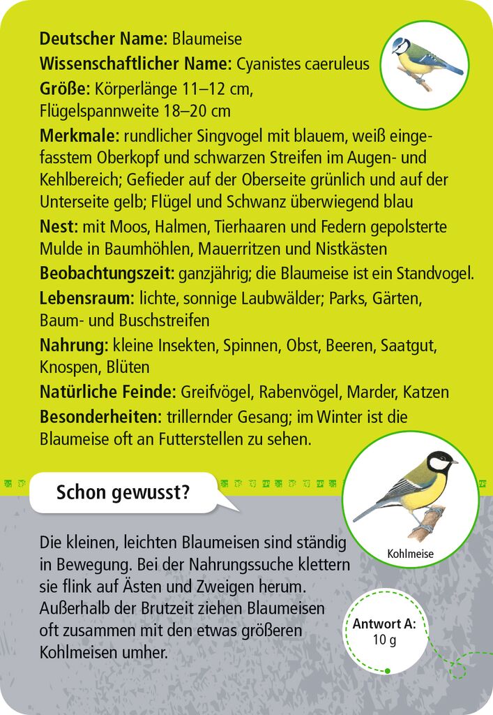 Expedition Natur 50 heimische Tiere in Stadt & Garten