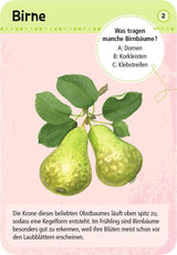 Expedition Natur 50 heimische Garten- & Feldpflanzen - WELTENTDECKER
