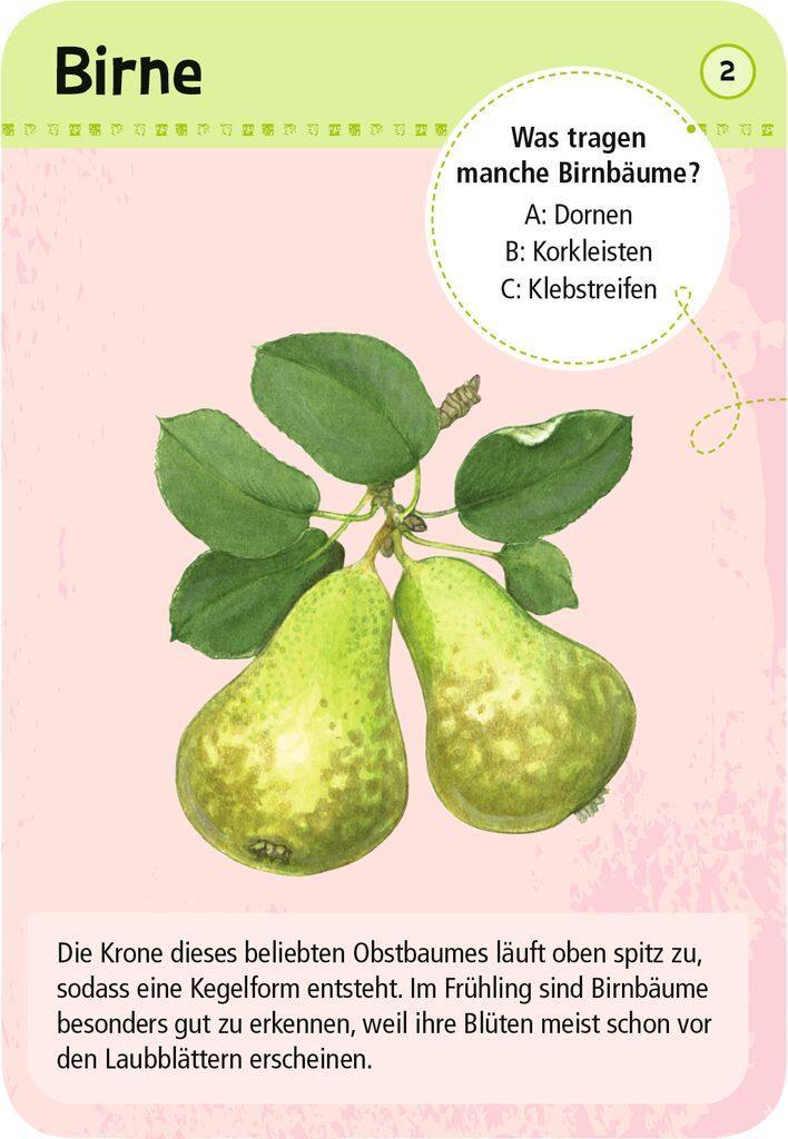 Expedition Natur 50 heimische Garten- & Feldpflanzen - WELTENTDECKER