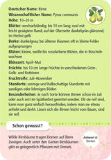 Expedition Natur 50 heimische Garten- & Feldpflanzen - WELTENTDECKER