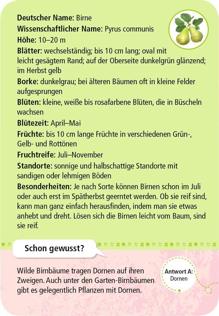 Expedition Natur 50 heimische Garten- & Feldpflanzen - WELTENTDECKER