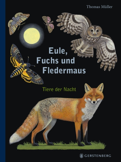 Eule- Fuchs und Fledermaus