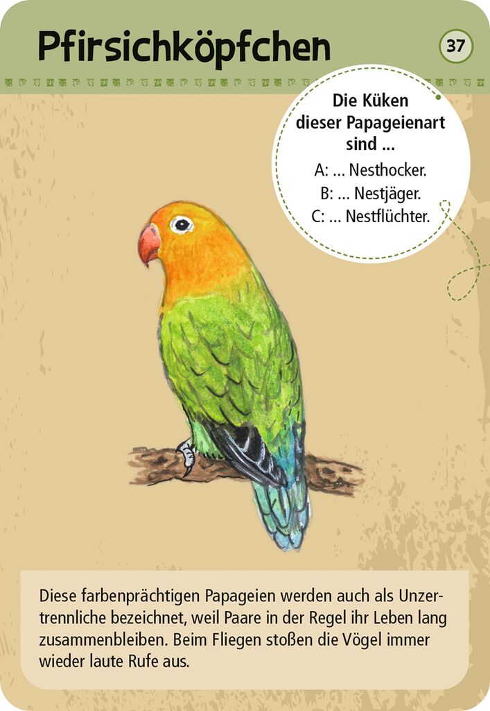 Expedition Natur 50 Zootiere