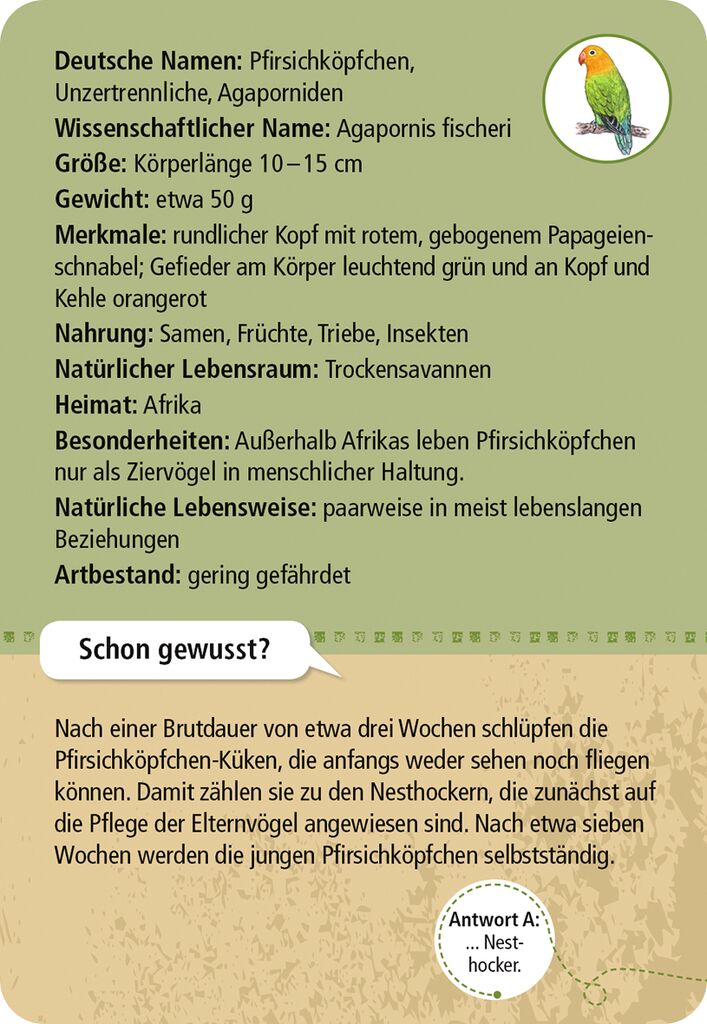 Expedition Natur 50 Zootiere