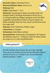 Expedition Natur 50 Meerestiere