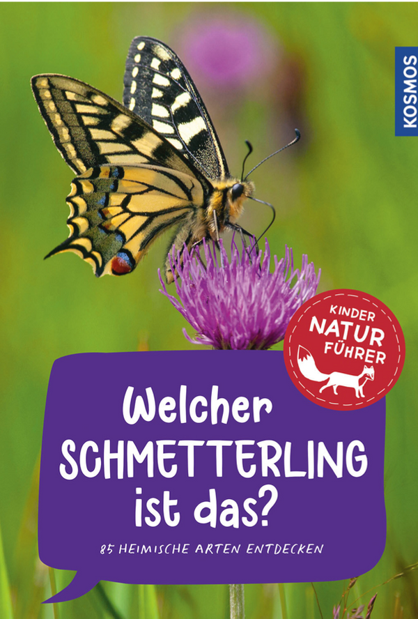 Welcher Schmetterling ist das? Kindernaturführer