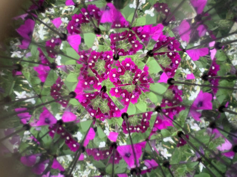 Huckleberry - Kaleidoskop