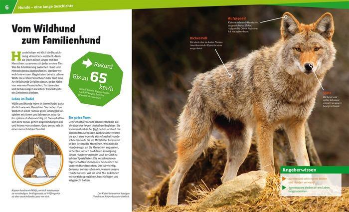 WIW Bd. 11 Hunde - WELTENTDECKER