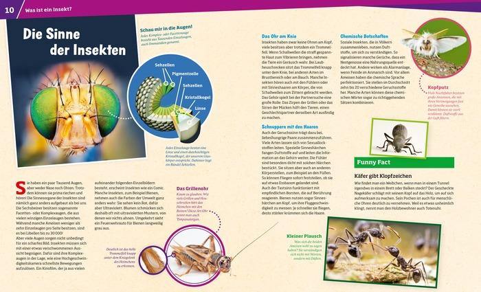 WIW Bd. 30 Insekten - WELTENTDECKER