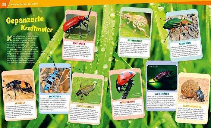WIW Bd. 30 Insekten - WELTENTDECKER