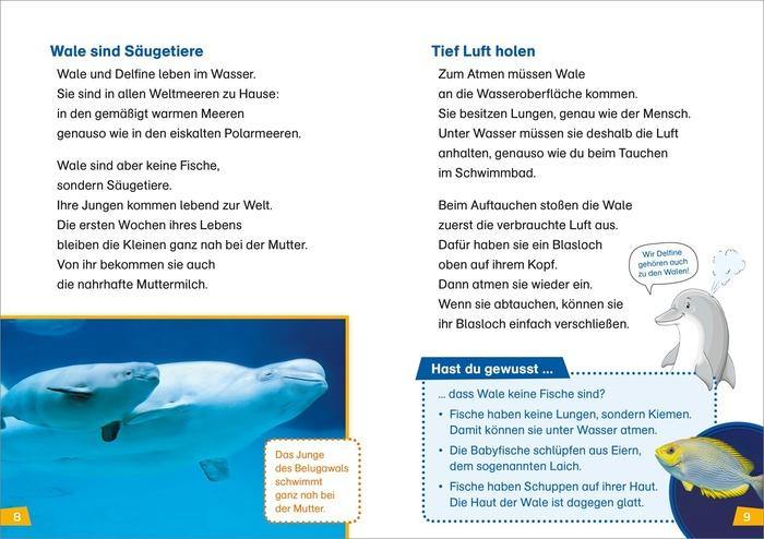 WIW Erstes Lesen Wale und Delfine - WELTENTDECKER