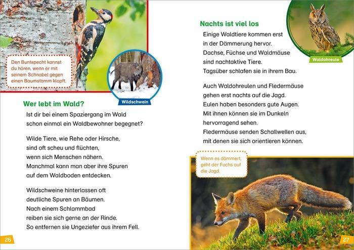 WIW Erstes Lesen Natur entdecken - WELTENTDECKER
