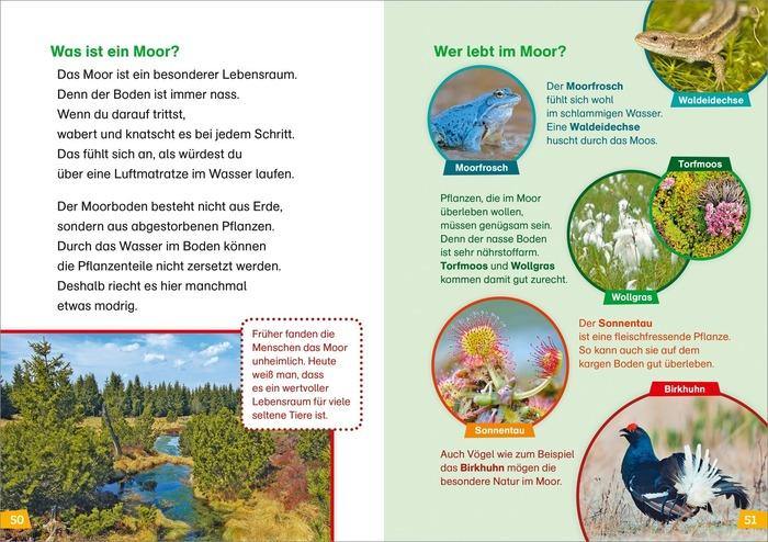 WIW Erstes Lesen Natur entdecken - WELTENTDECKER
