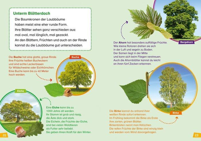 WIW Erstes Lesen Wald - WELTENTDECKER