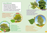 WIW Erstes Lesen Wald - WELTENTDECKER